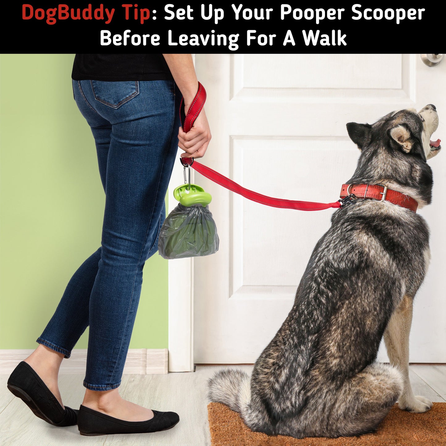 Medium Dog Waste Removal Tool
